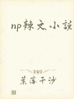 np辣文小说封面