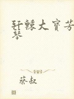 轩辕大宝芳菲雅琴