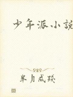 少年派小说