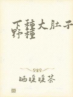 下种大肚子怀孕野种封面