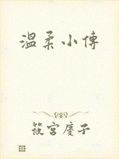 温柔小传封面