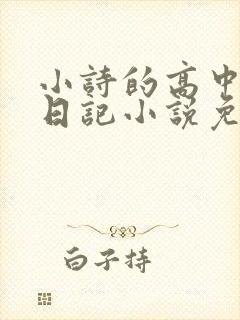 小诗的高中成长日记小说免费阅读
