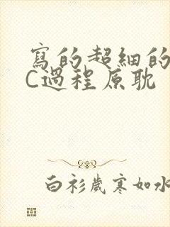 写的超细的多肉C过程原耽