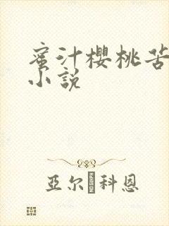 蜜汁樱桃苦咖啡小说