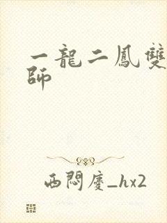 一龙二凤双飞老师封面
