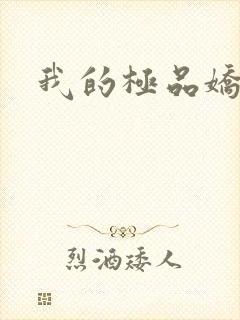 我的极品娇妻
