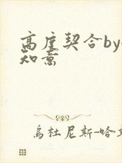 高度契合by洛知意