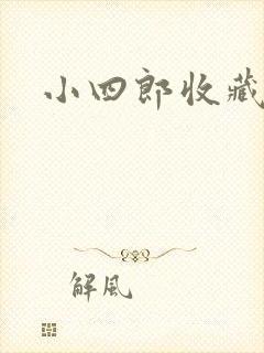 小四郎收藏家封面