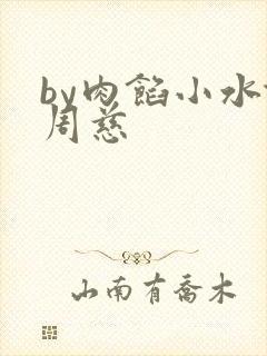 by肉馅小水饺周慈