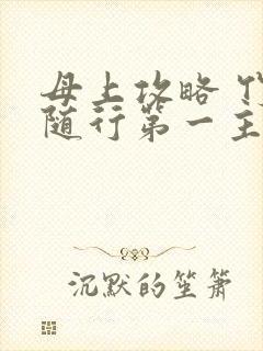 母上攻略 竹影随行第一主板