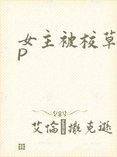 女主被校草们NP