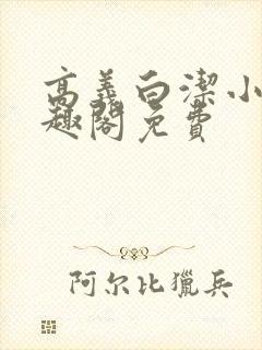 高义白洁小说笔趣阁免费封面