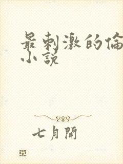 最刺激的伦子伦小说封面