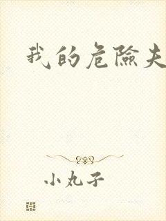 我的危险夫人封面