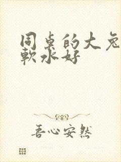 同桌的大兔子好软水好