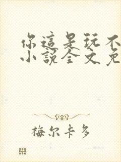 你这是玩不起呀小说全文免费阅读封面