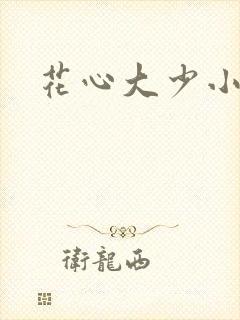 花心大少小说