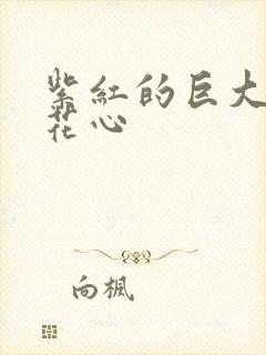 紫红的巨大顶开花心