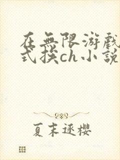 在无限游戏里花式挨ch小说封面