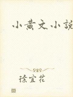 小黄文小说