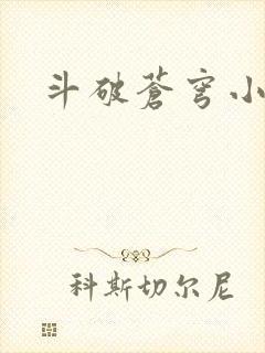 斗破苍穹小说封面