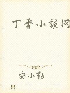 丁香小说网