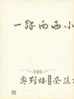 一路向西小说