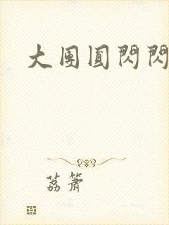 大团圆闪闪发光