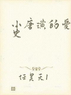 小唐璜的爱情历史