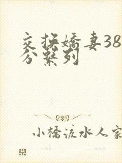 交换娇妻38部分系列