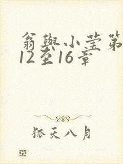 翁与小莹第十部12至16章封面