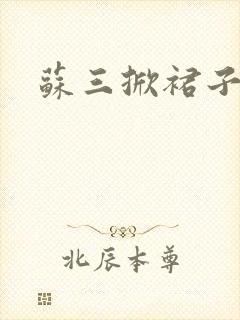 苏三掀裙子封面