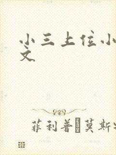 小三上位小说全文