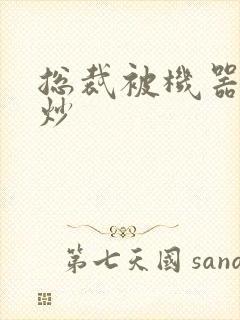 总裁被机器人爆炒