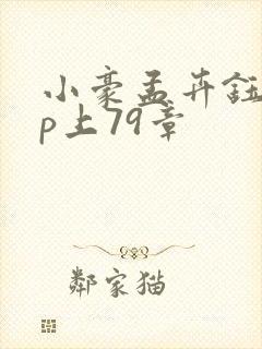 小豪孟卉钰慧三p上79章