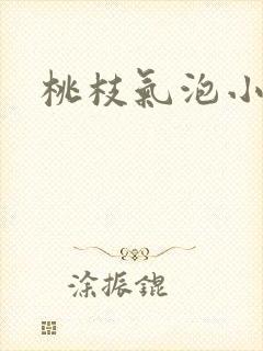 桃枝气泡小说封面