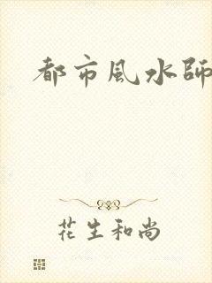 都市风水师3封面