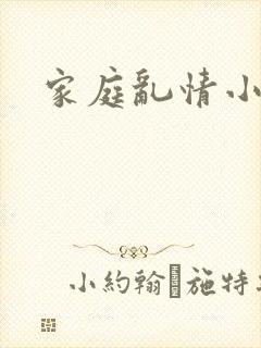 家庭乱情小说