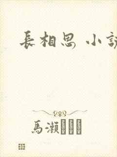 长相思 小说