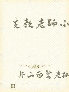 支教老师小说封面