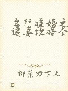 名门暖婚之权爷追妻攻略全文免费阅读