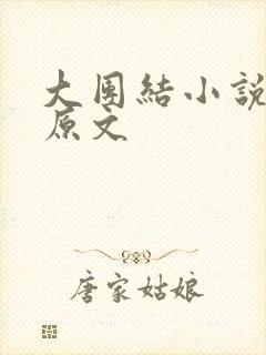 大团结小说阅读原文