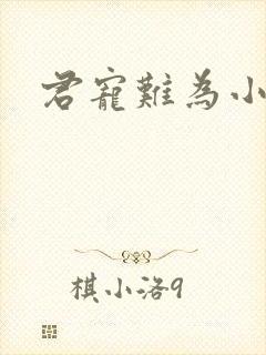 君宠难为小说封面