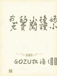 我的小后妈全文免费阅读小说