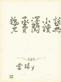 魏承泽小说全文免费阅读无弹窗笔趣