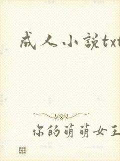 成人小说txt封面