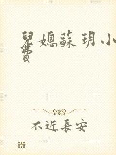 儿媳苏玥小说免费