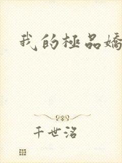 我的极品娇妻封面