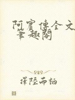 阿宾传全文阅读 笔趣阁封面