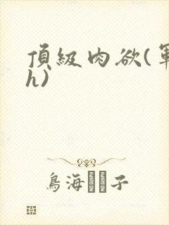 顶级肉欲(军高h)